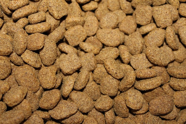 The Truth Behind Commerical Pet Food