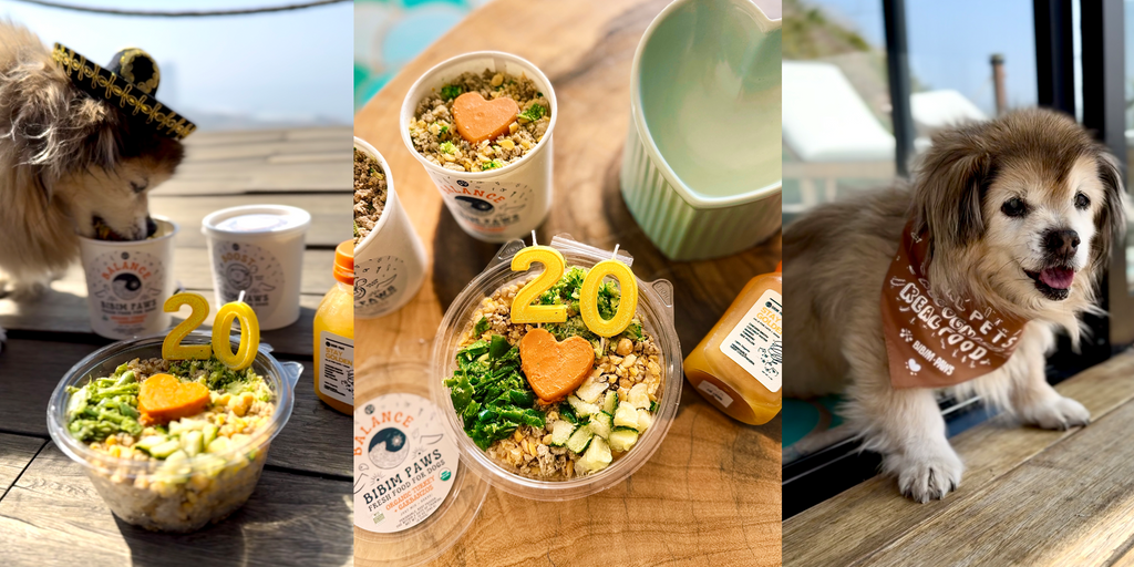 Certified Organic Fresh Pet Food Natural Dog Food and Cat Food Bibim Paws